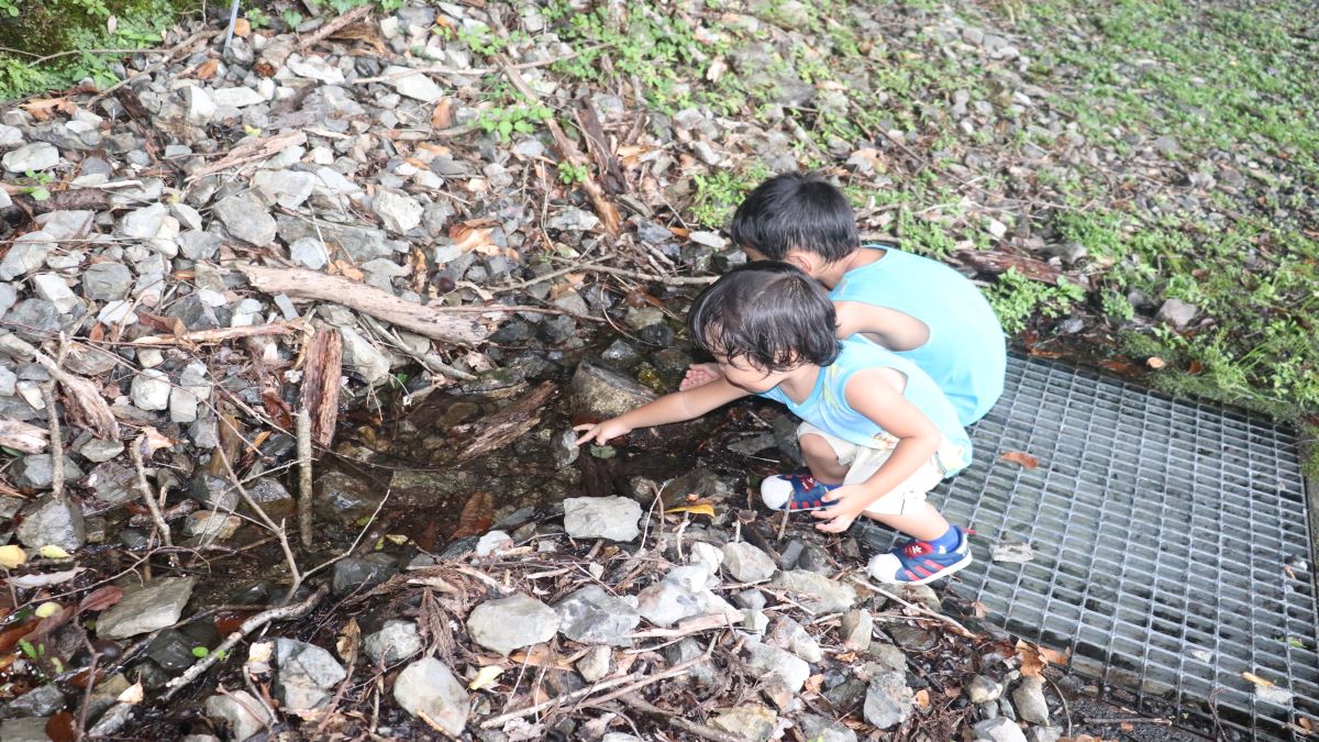 湧水を触っている子どもの写真。