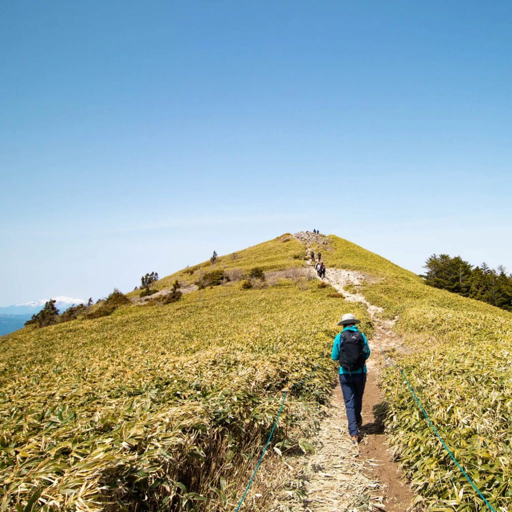 登山をする人々