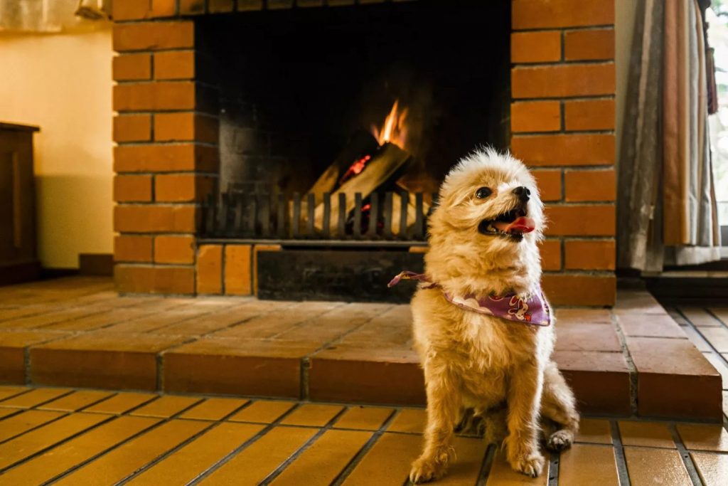 暖炉と犬