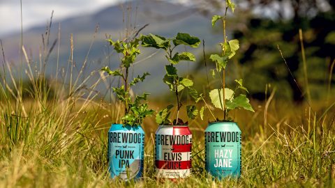 パンクでサステナブルなブルワリーBREWDOGが始めた100万本の植樹「LOST FOREST」プロジェクト