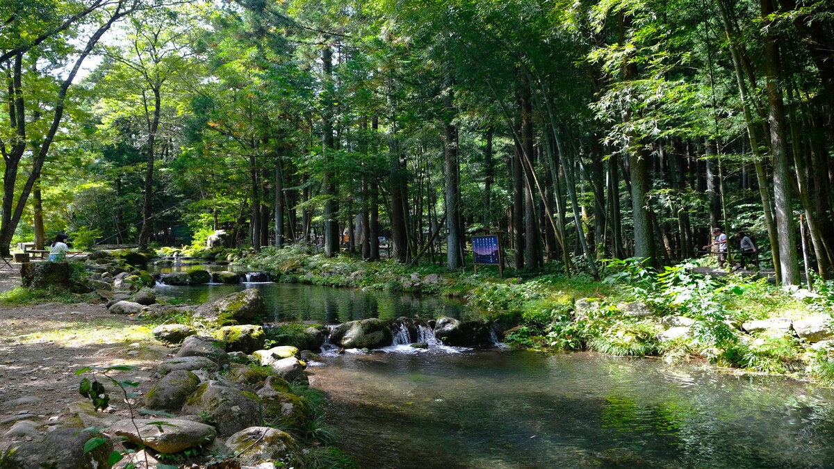 餌釣り風景