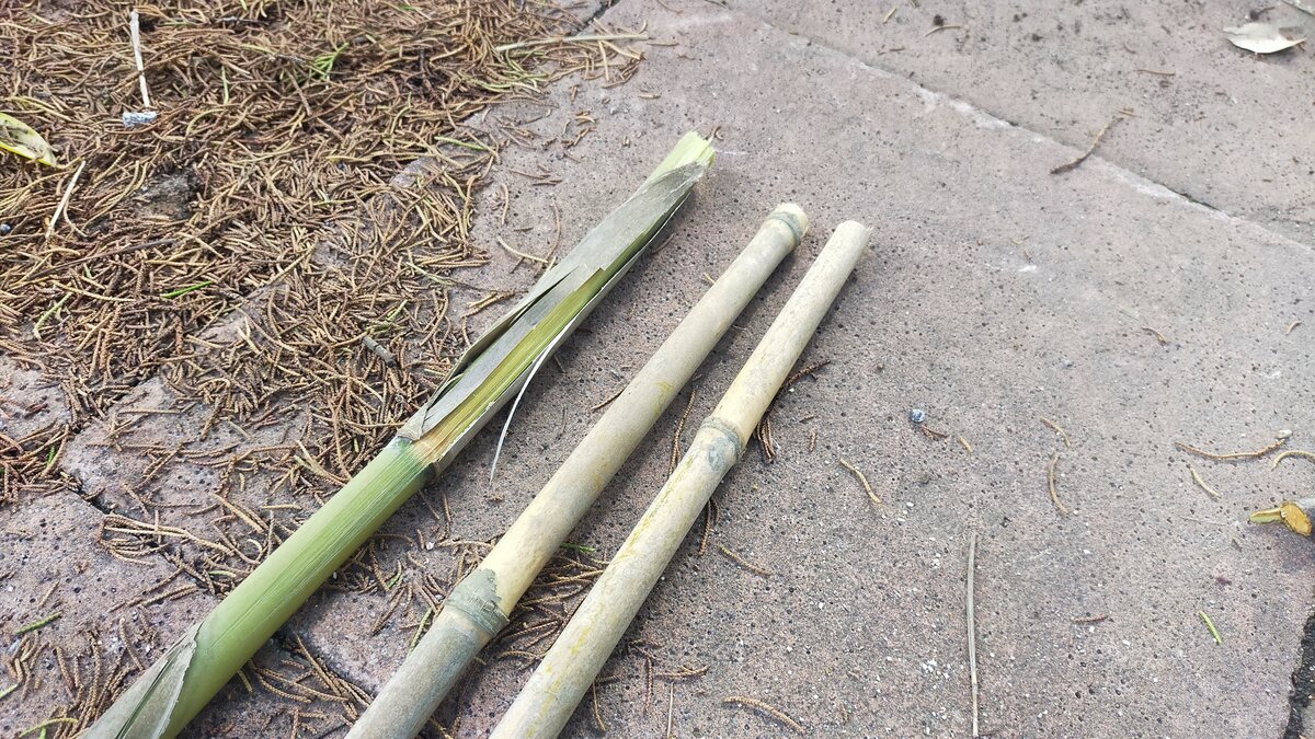長さが同じ3本の竹が並んでいる。
