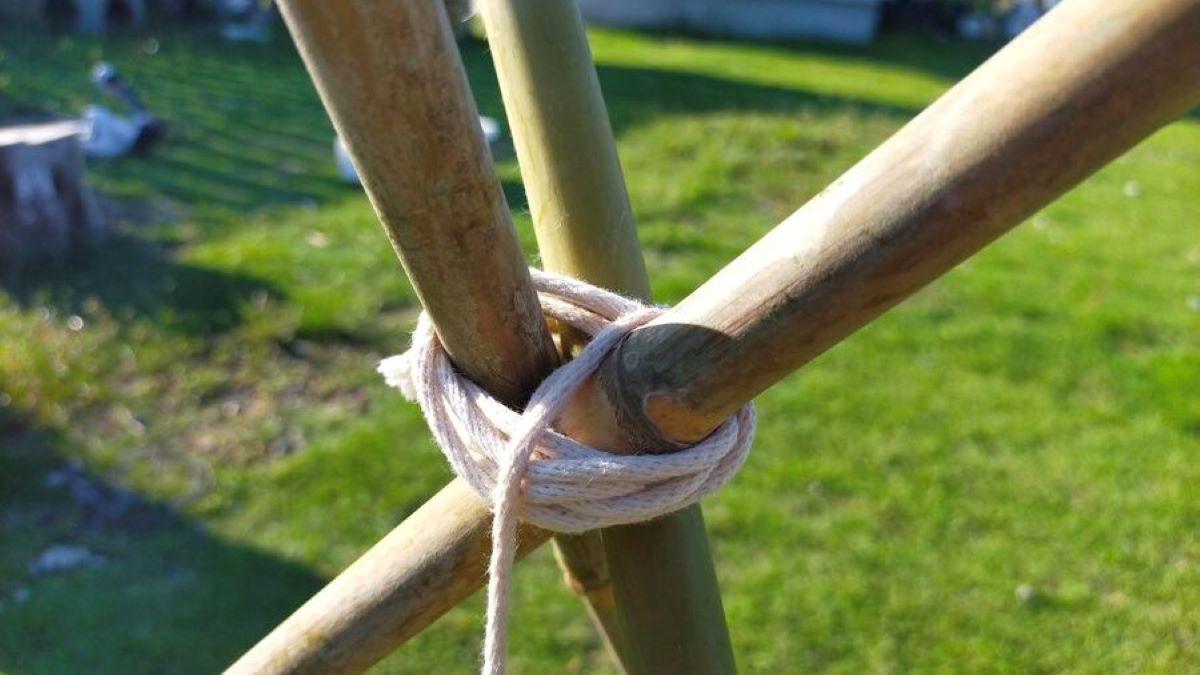 3本の竹がロープで巻かれて固定されている様子。