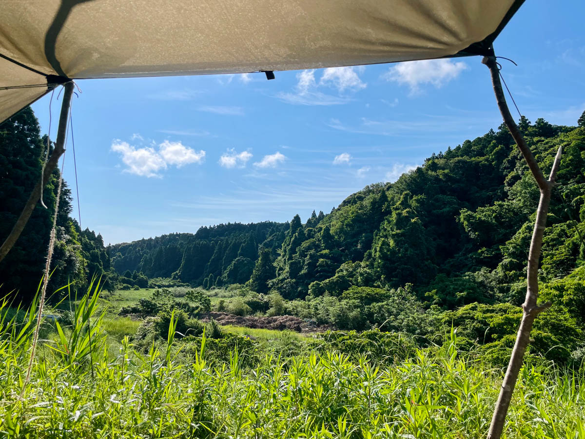 タープから眺める空