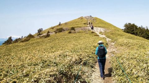 【初心者必見！】日帰り登山の持ち物は？おすすめの装備もチェック