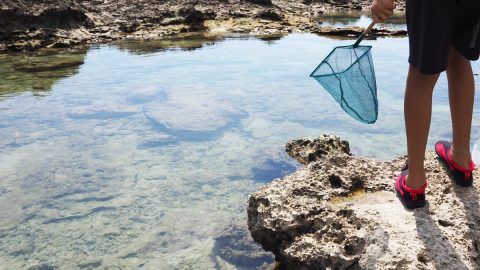 寒い時期は”イノー”で海遊び！沖縄子育てライターがおすすめする冬に海を楽しむ方法