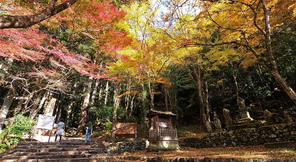 鳳来寺山の紅葉