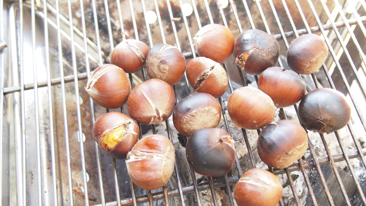 BBQコンロで栗を焼く