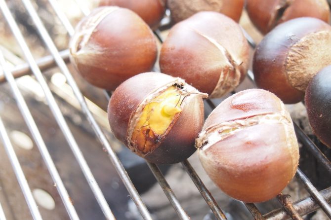 BBQの網で栗を焼く