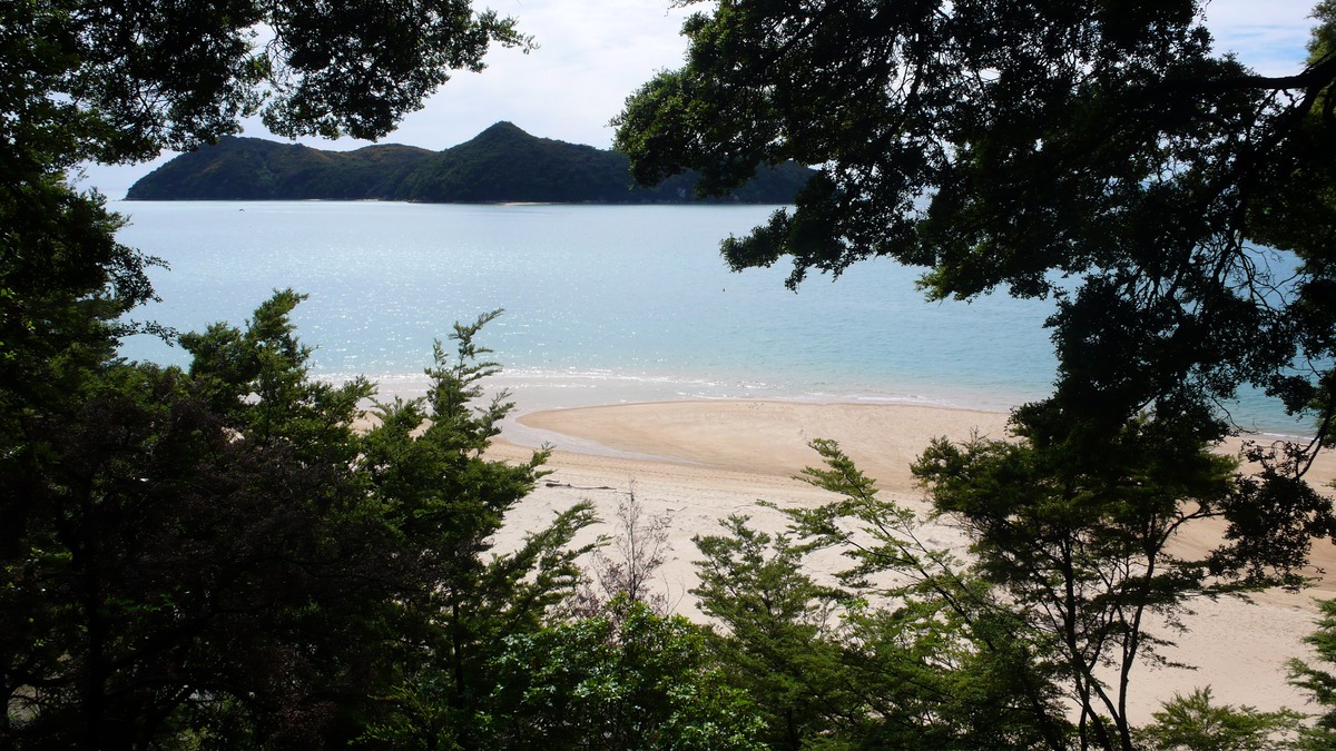 木の間から見える海岸の様子。