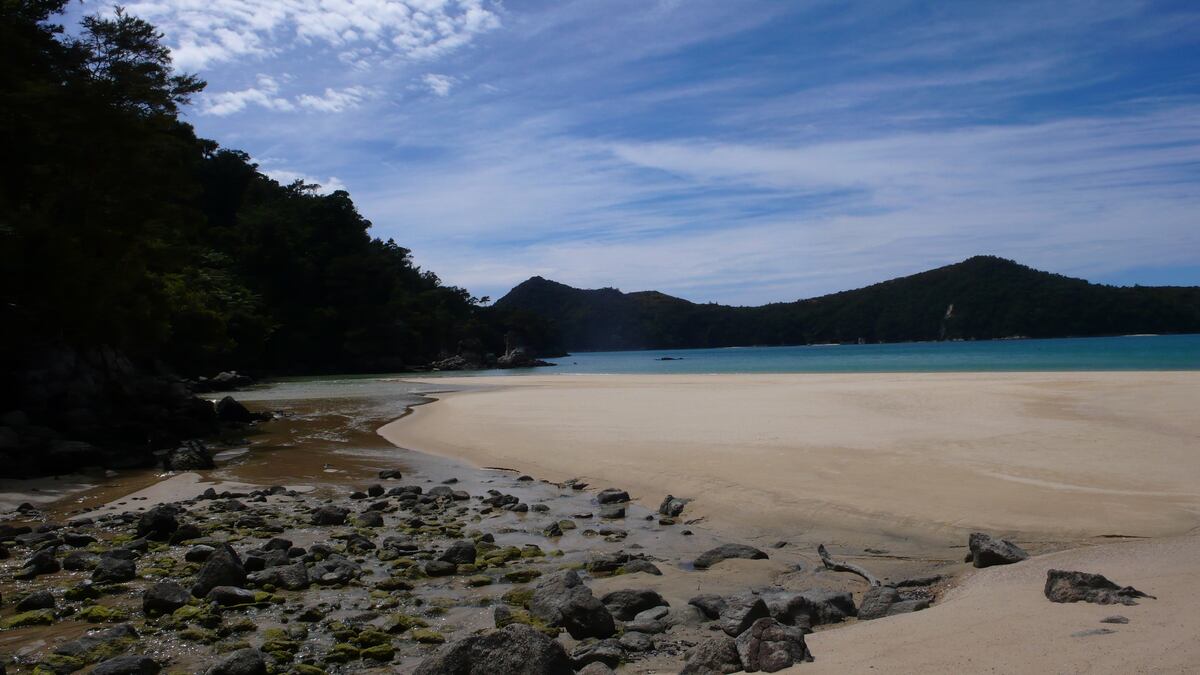 砂浜の景色。