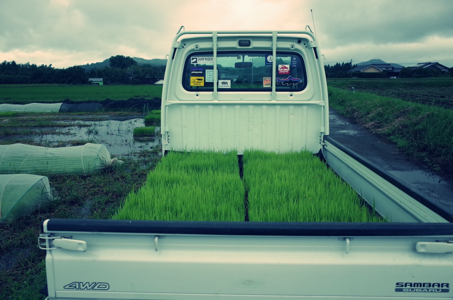 田植えのさいの軽トラ