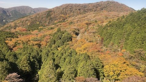 かつての難所が有名観光地に変貌！箱根キャンピングカー旅で発見
