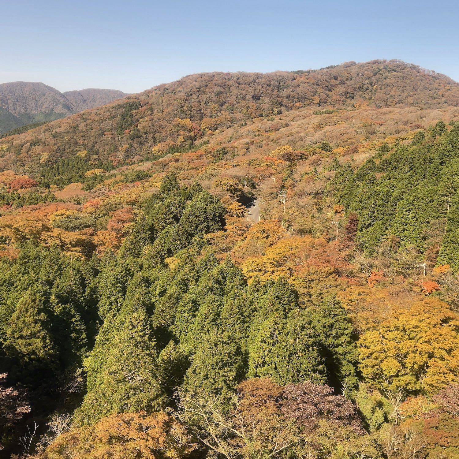 箱根の紅葉