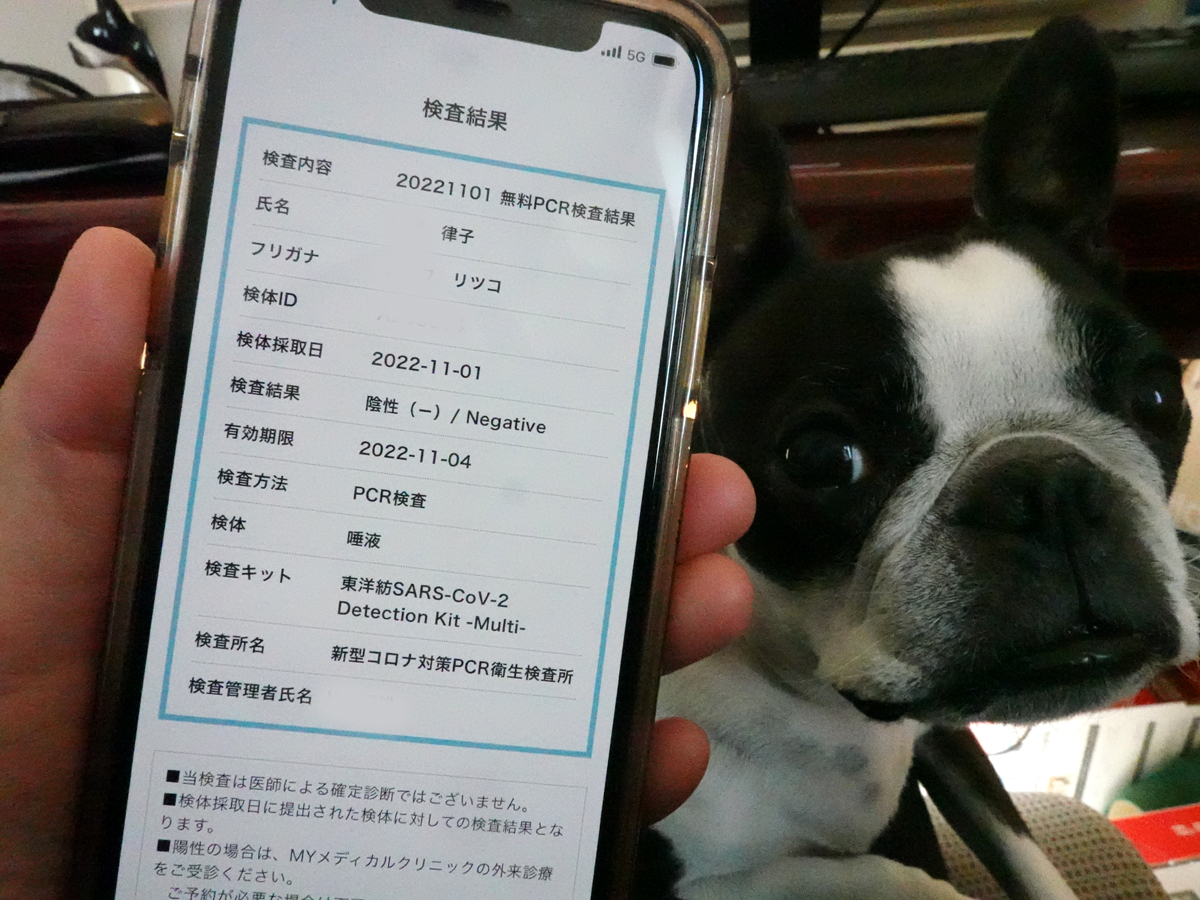 スマホ画面で確認できるPCR検査結果