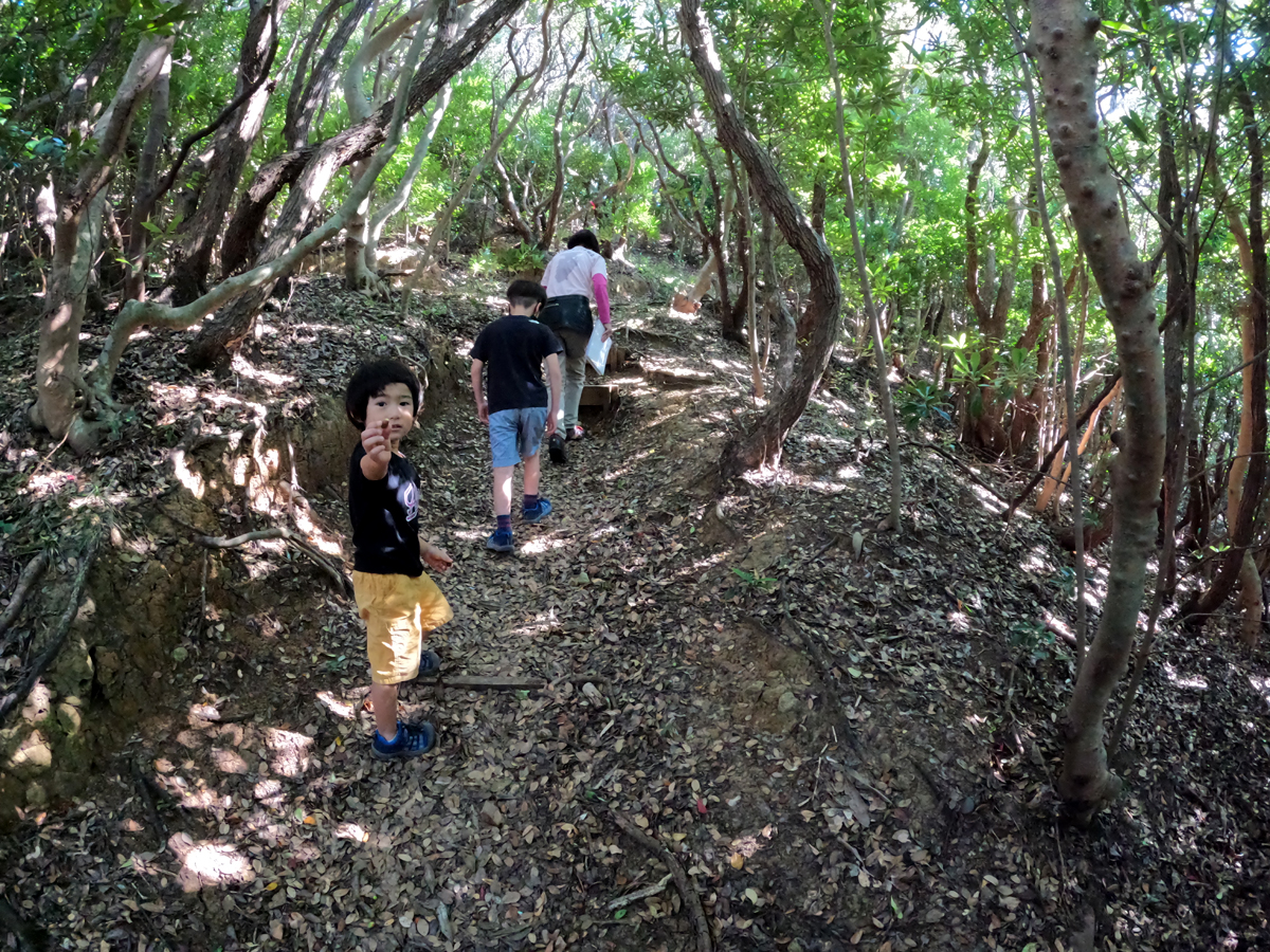 日和山に登る道