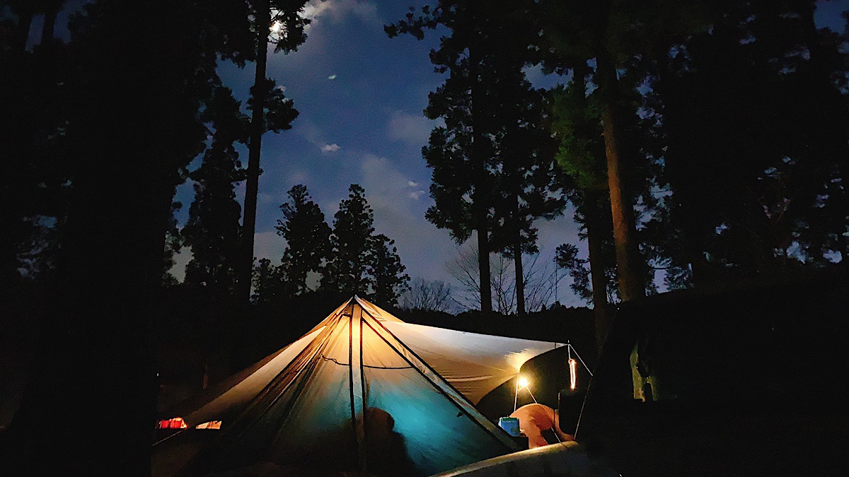 夜に林の中にあるテントを撮影したものです。