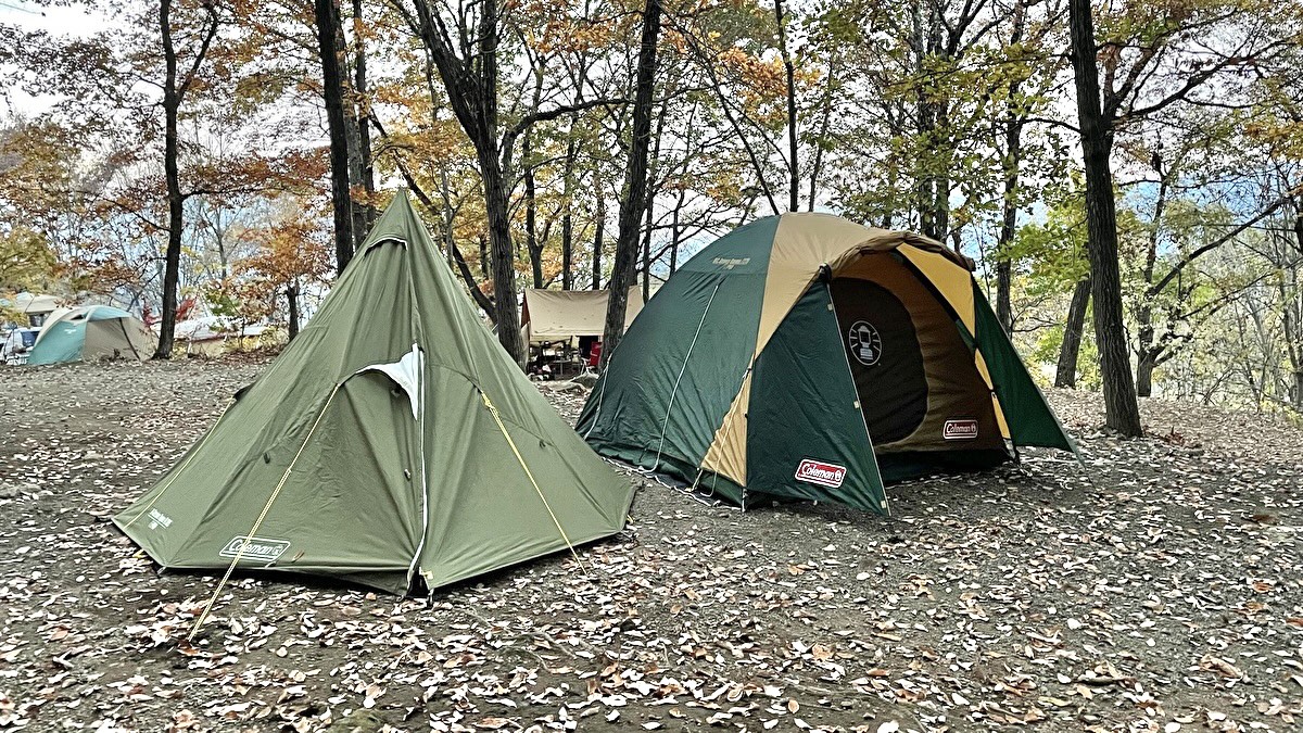 ドーム型、ワンポール型テントが並んでいる写真