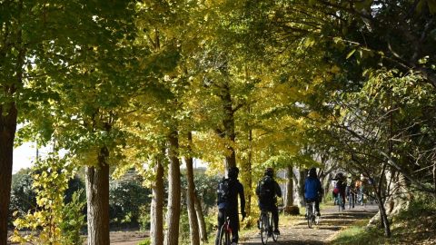 お散歩サイクリングで知った、大自然を身近に感じる千葉県・横芝光町の魅力