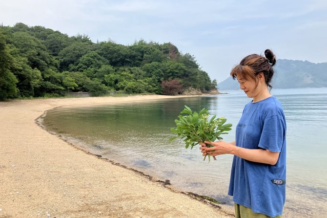 青いTシャツを着て、おだんご頭の女性が、海辺で長命草を花束のように持っている