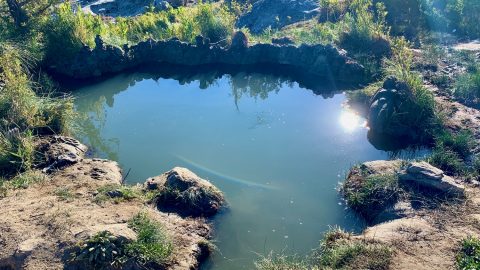 広大な敷地に大小16もの露天風呂が！アメリカの野趣あふれる秘湯中の秘湯「モノ温泉」