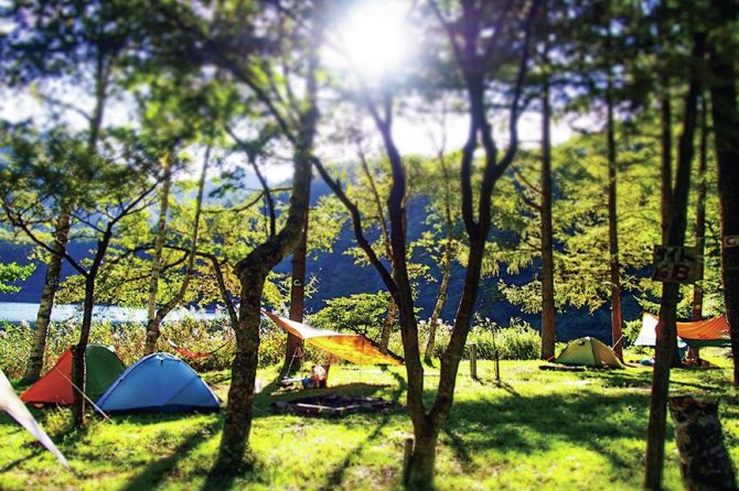 森の中のキャンプ場