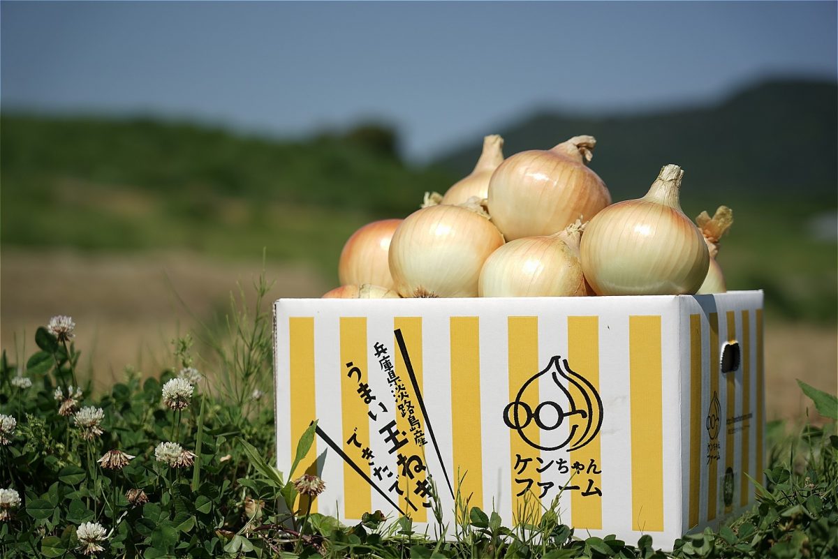 淡路島玉ねぎ「晩生種」５kg