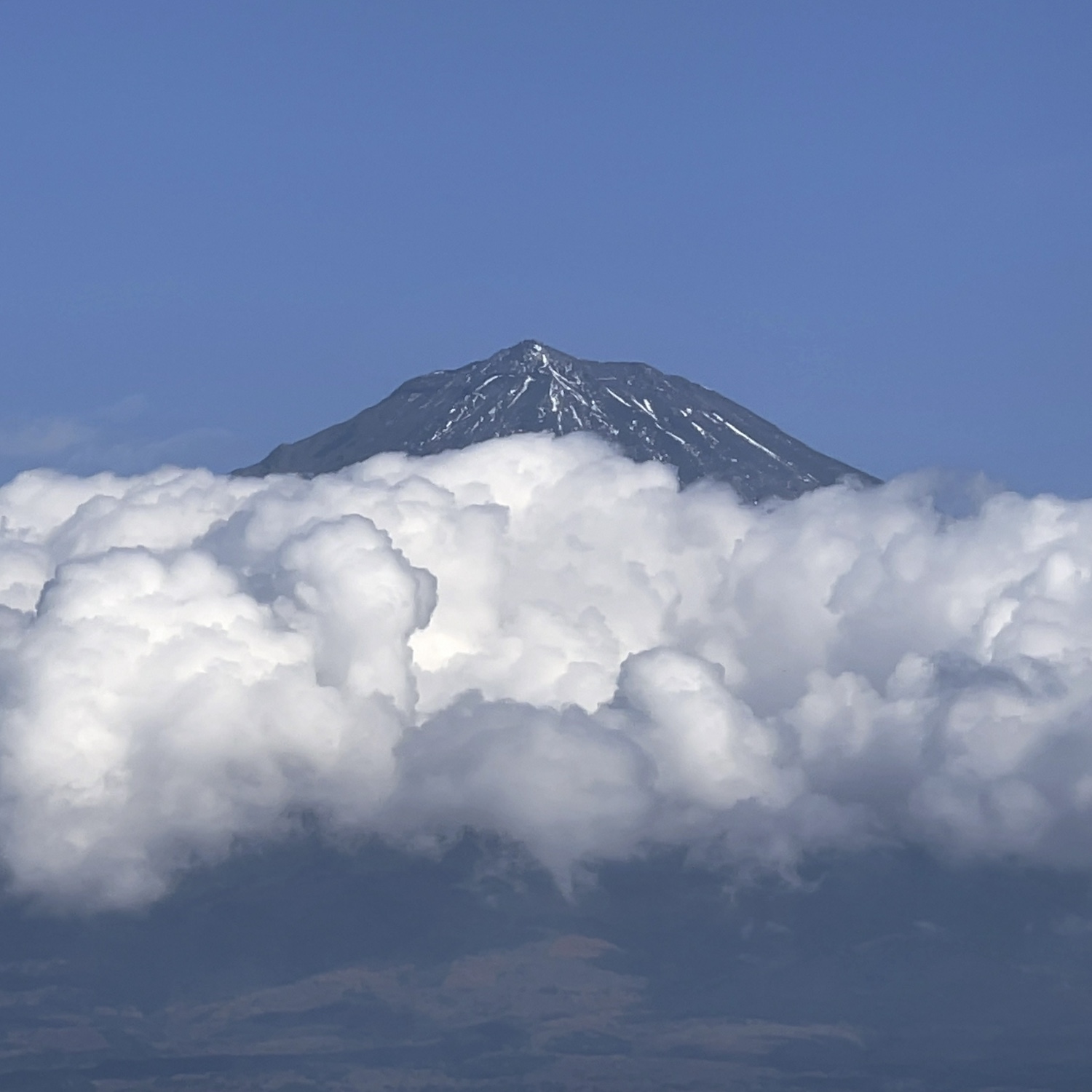 富士山