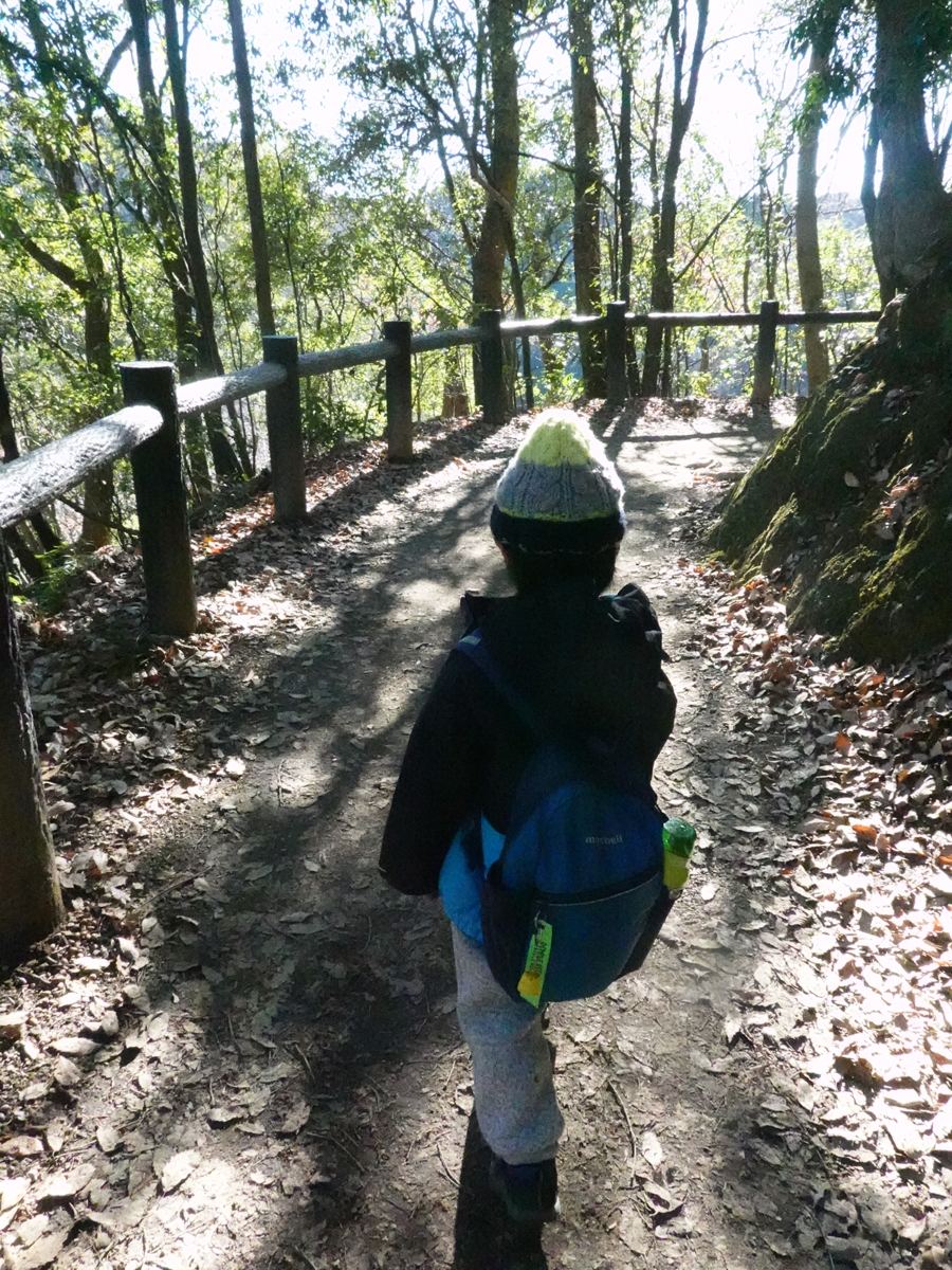 ゆるやかな山道