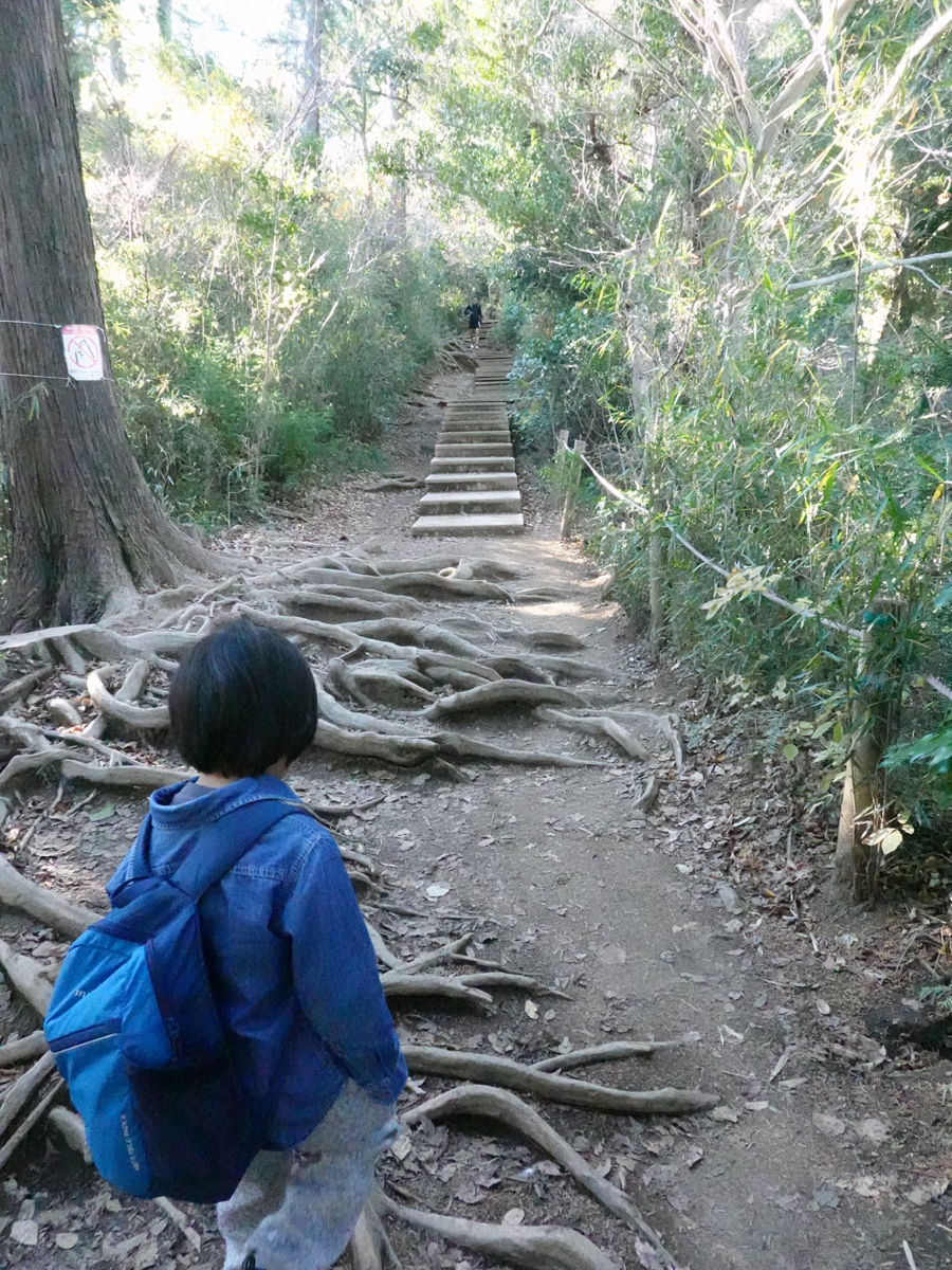 木の根っこに驚く次男