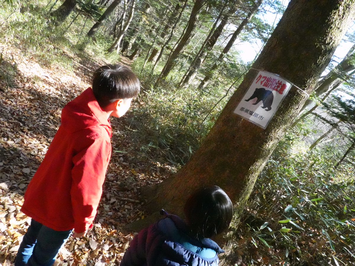 熊出没注意の看板