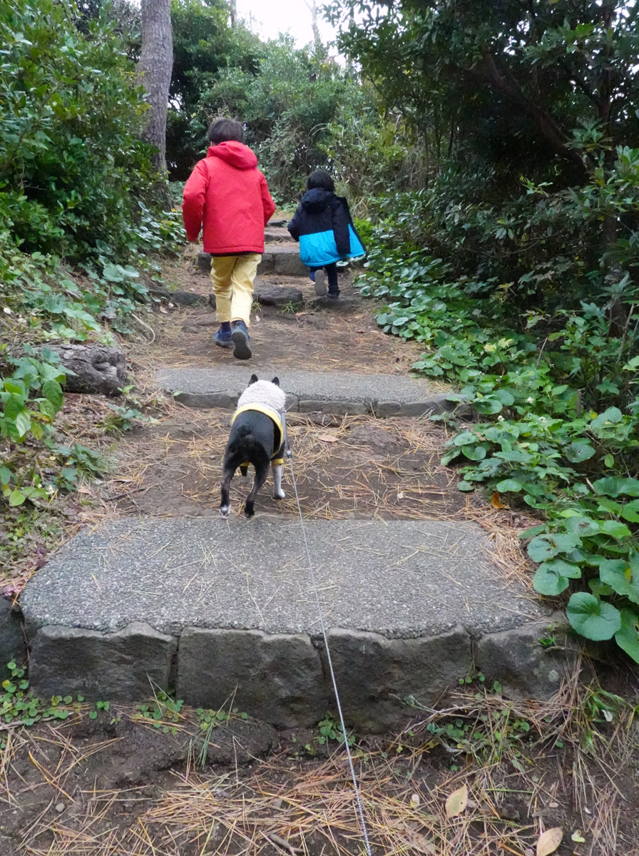 遊歩道を歩く子供