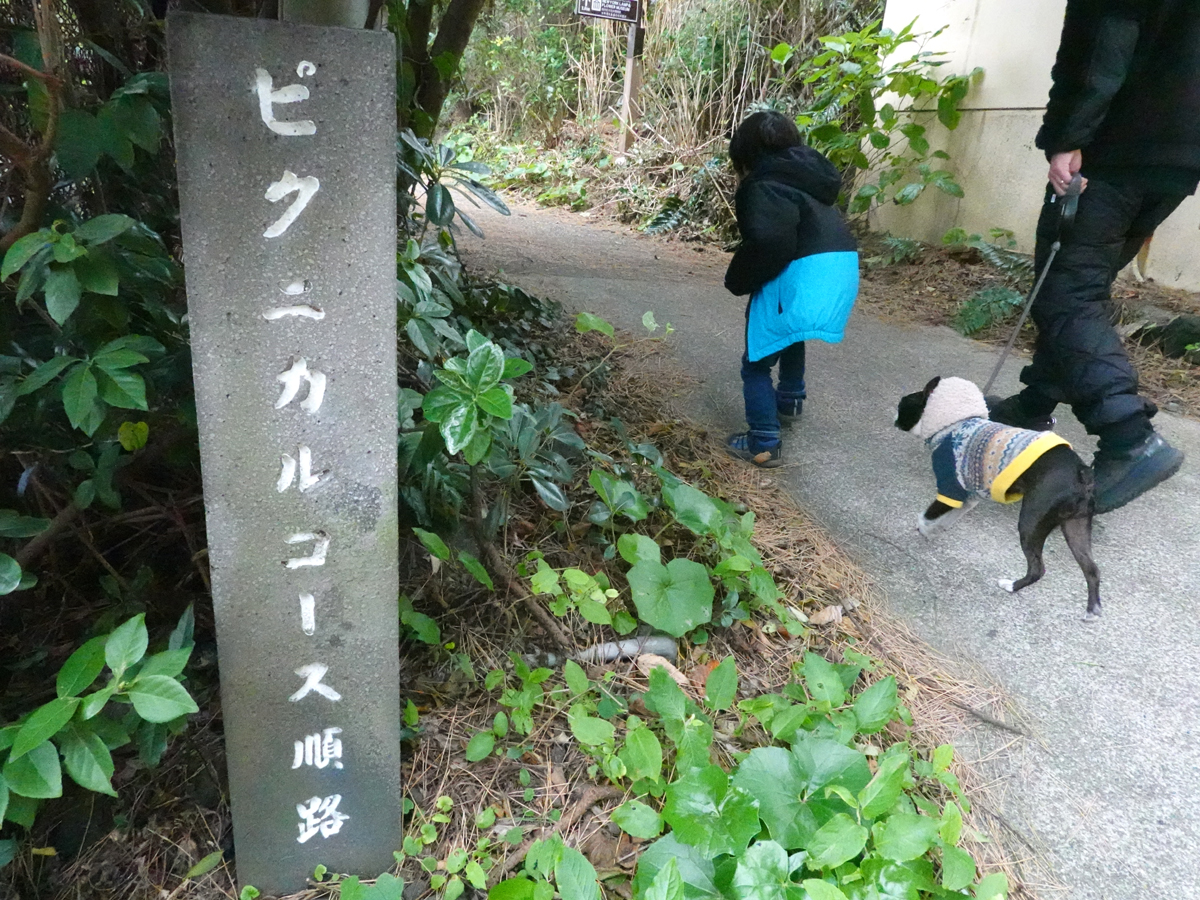 ピクニカルコースの石標