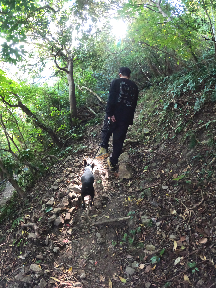 未舗装の山道