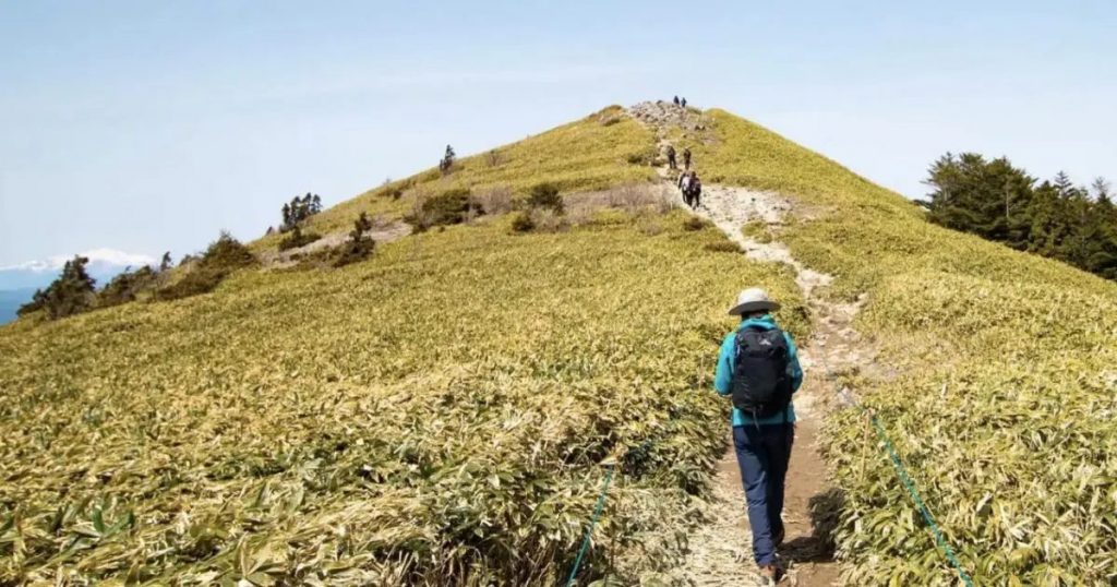 登山をする人物