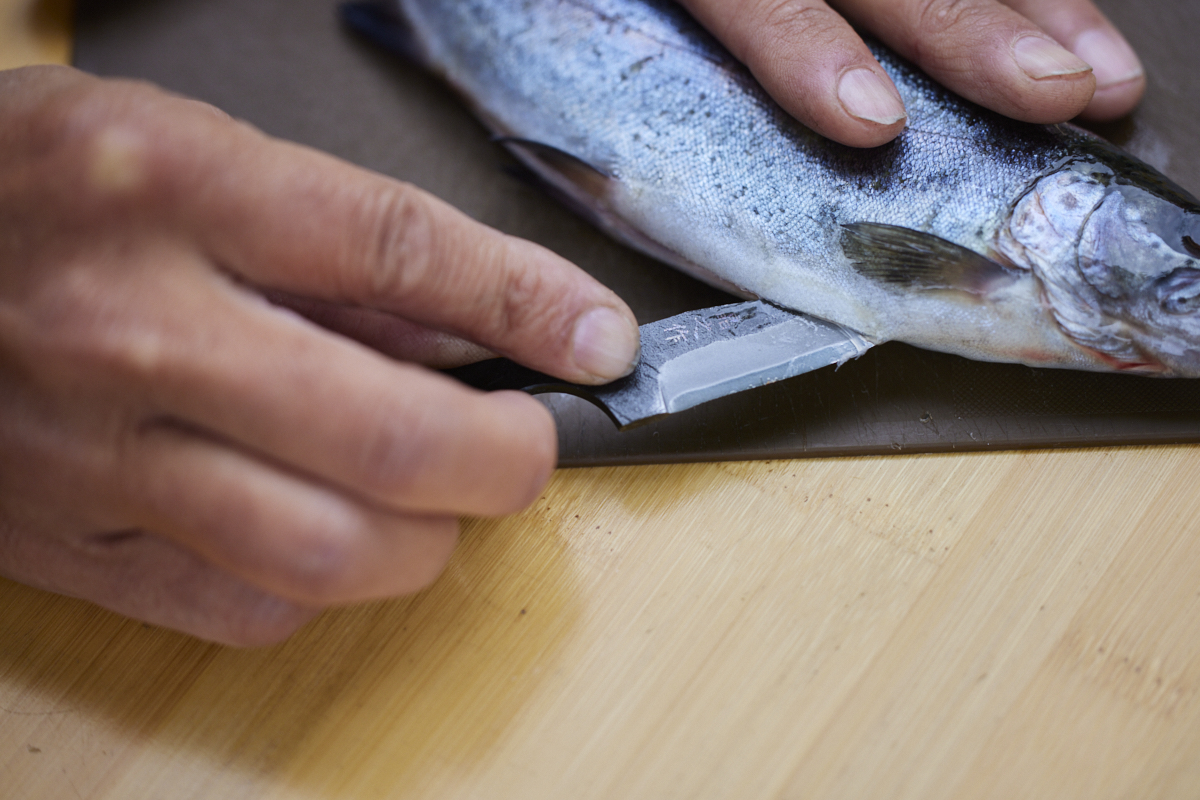 魚の腹を裂く