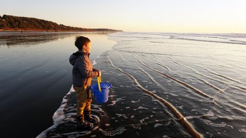 絶景の浜辺！アメリカ西海岸で楽しむ冬の潮干狩り体験レポート