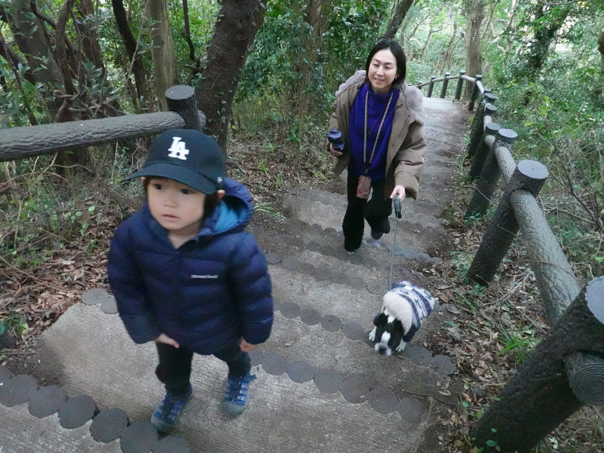 大黒山展望台まで山歩き