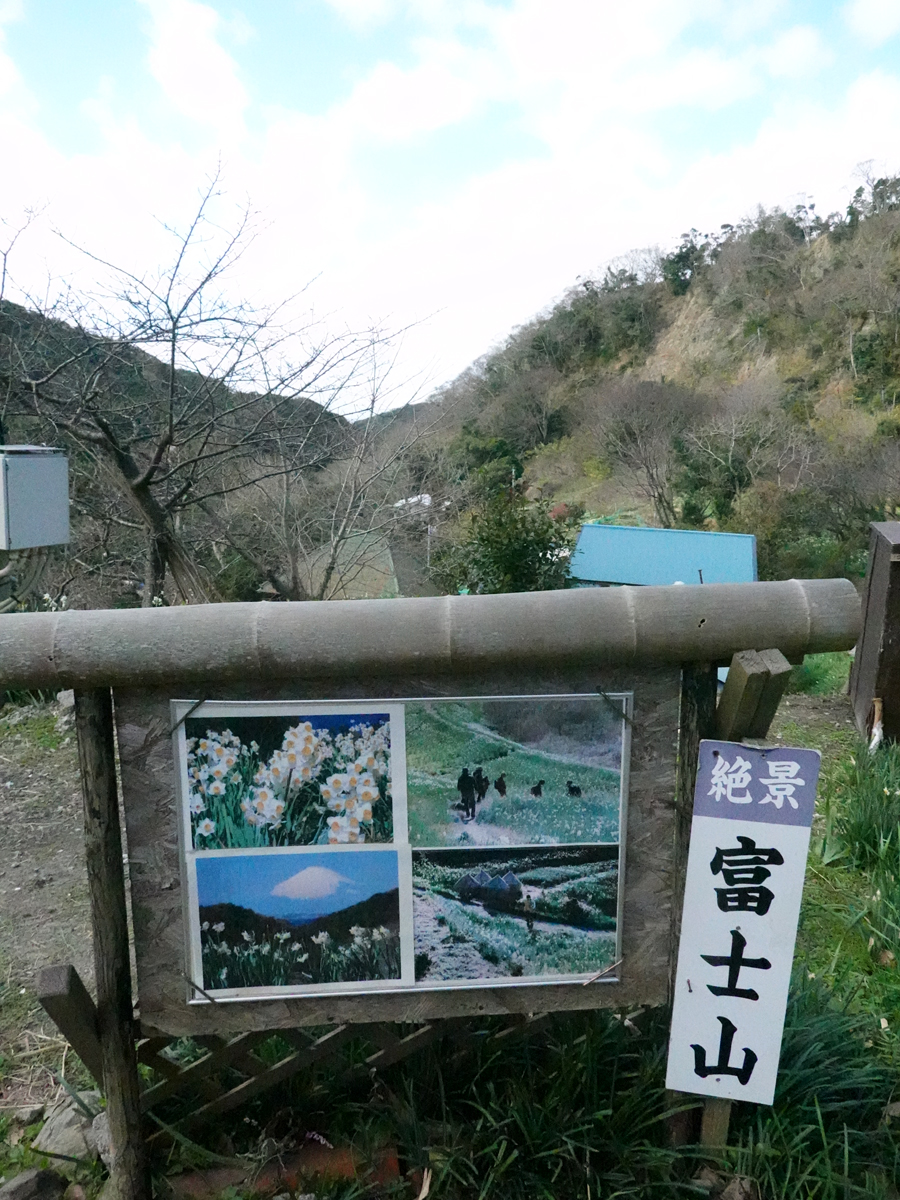 案内図によれば富士山も見えるらしい