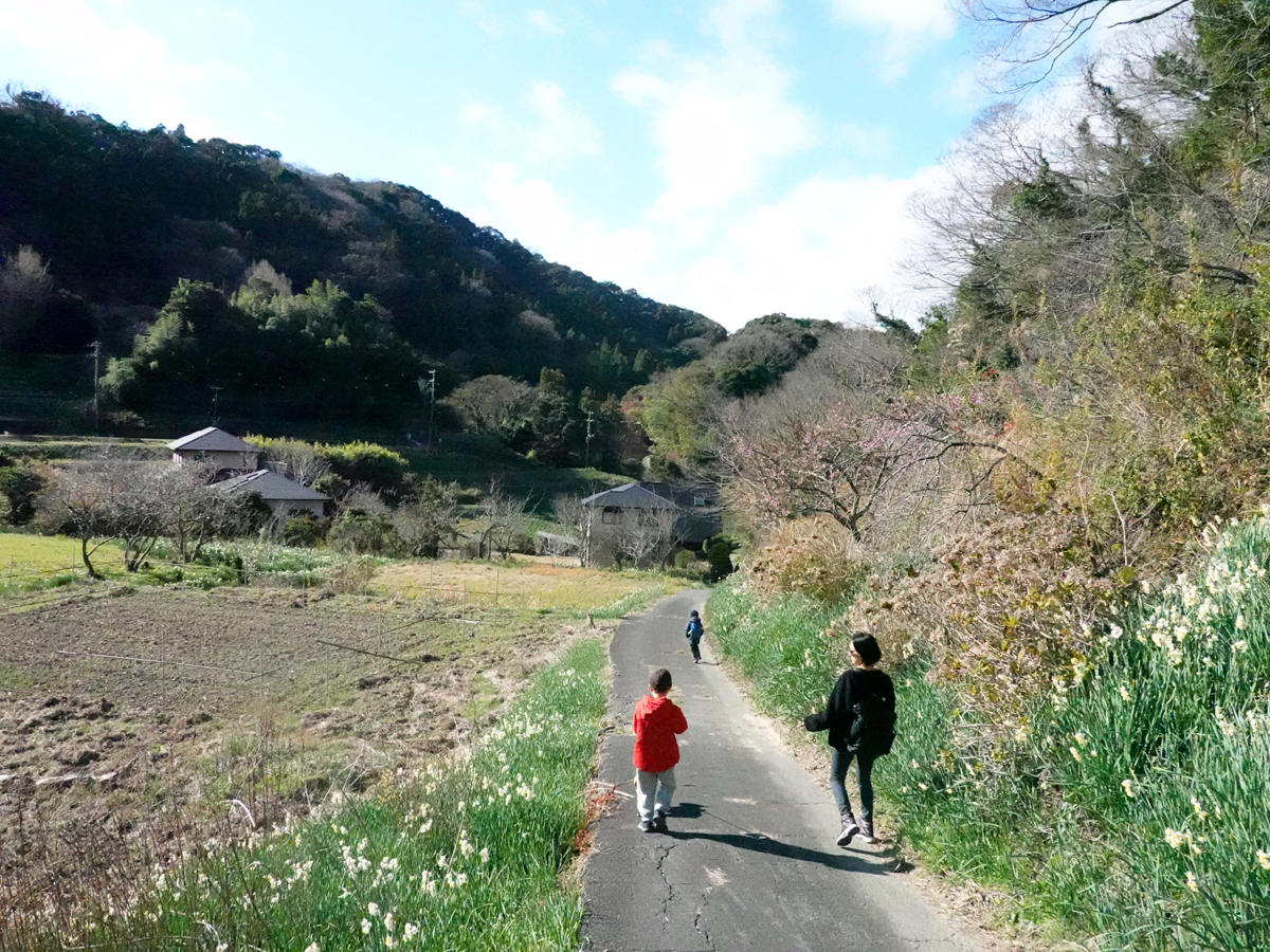 里山の風景