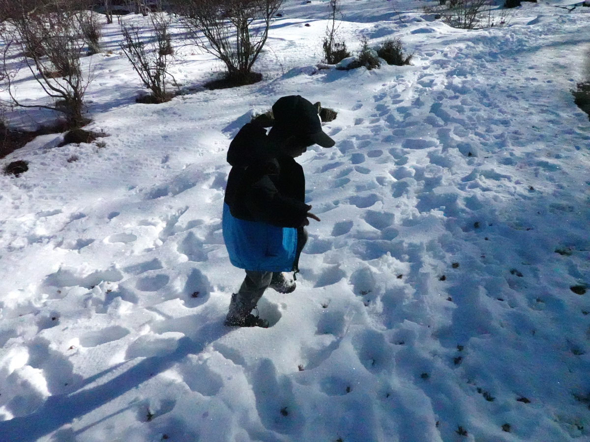 雪の上を歩く子供