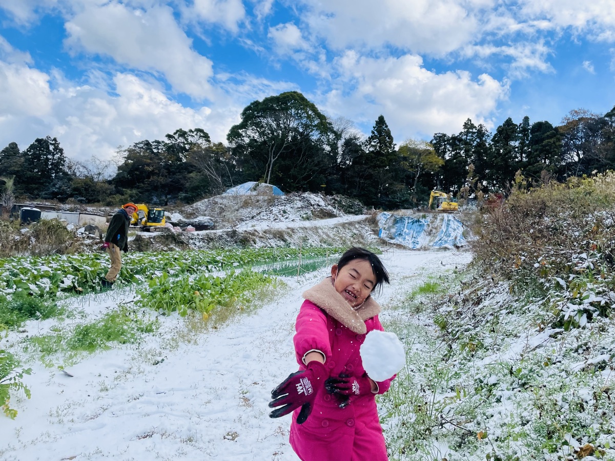 畑で雪合戦をする親子