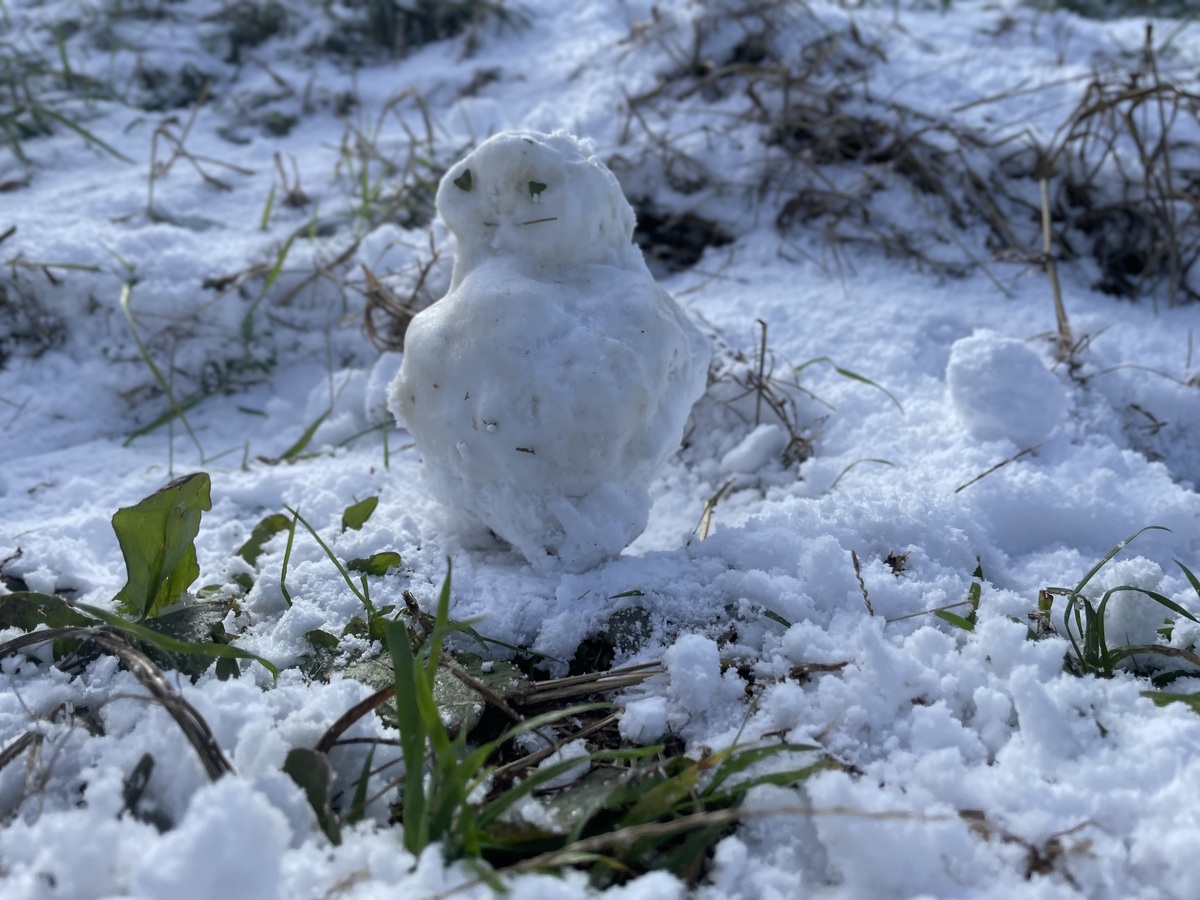 雪だるま