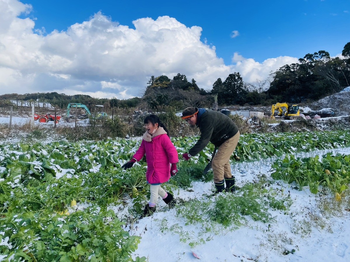 雪が積もった畑で遊ぶ父子