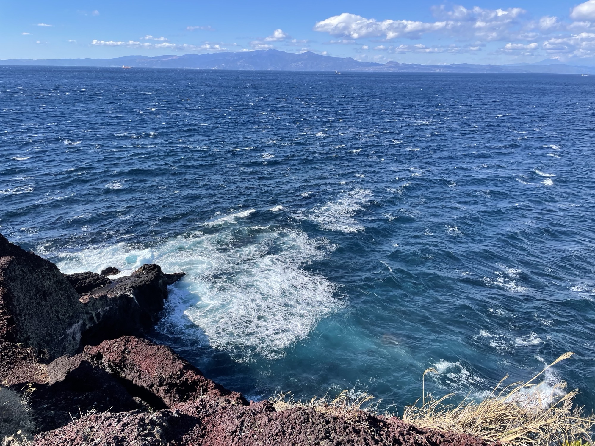 赤禿げからの海