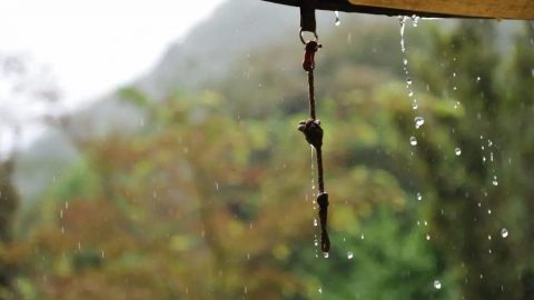 雨キャンプの楽しみ方6選！必需品とテント設営・撤収のコツも紹介