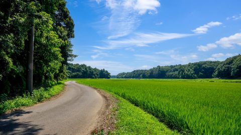 「移住」や「二拠点生活」を本格的に提案されたらどうする？既婚男女500人に聞いてみた