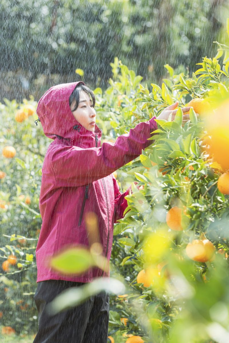 雨の中作業する女性