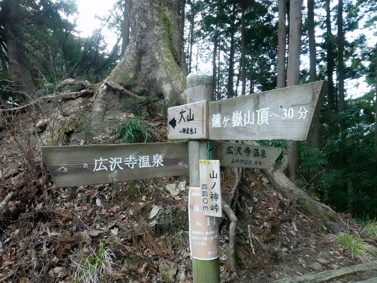 岐路に立つ道標