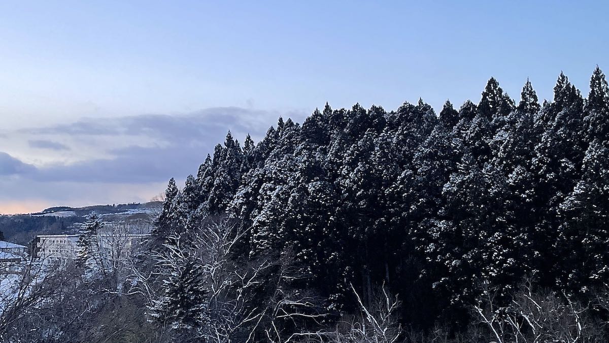 雪の降った山